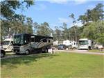 A grassy area next to RV sites at PINE CREST RV PARK OF NEW ORLEANS - thumbnail