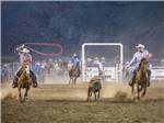 A couple of cowboys roping a steer at CODY YELLOWSTONE - thumbnail