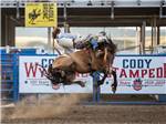 A cowboy on a bucking horse at CODY YELLOWSTONE - thumbnail