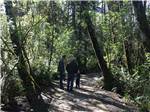 Two men and a boy on a trail in the woods at TILLAMOOK BAY CITY RV PARK - thumbnail