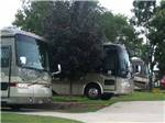 A row of motorhomes in paved RV sites at OWL CREEK MARKET + RV PARK - thumbnail