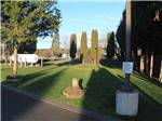 The grassy pet area next to the propane tank at MIDWAY RV PARK - thumbnail