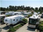 An aerial view of the paved pull thru sites at PACIFIC PINES RV PARK & STORAGE - thumbnail
