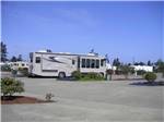 A group of paved RV sites at PACIFIC PINES RV PARK & STORAGE - thumbnail
