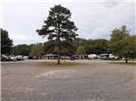 Large open area for campers at OUTDOOR LIVING CENTER RV PARK - thumbnail