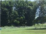 Large shade trees near property at OUTDOOR LIVING CENTER RV PARK - thumbnail