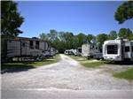 The gravel road between RV sites at QUILLY'S MAGNOLIA RV PARK - thumbnail