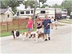 Campers walking their dogs at AMERICA'S BEST CAMPGROUND - thumbnail