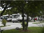 Some of the paved RV sites at COTTONWOODS RV PARK - thumbnail