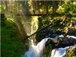 Bridge spans chasm that channels frothing white water at ELWHA DAM RV PARK - thumbnail