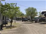Trees in front of the RV sites at AMARILLO BEST WONDERLAND RV RESORT - thumbnail