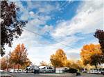 RVs parked on-site at CREEKSIDE RV PARK - thumbnail