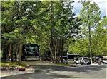 Motorhomes backed in at the paved sites at SMOKY BEAR CAMPGROUND AND RV PARK - thumbnail