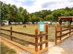 The fenced in pet area at BIG MEADOW FAMILY CAMPGROUND - thumbnail