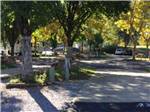 A group of RV sites under trees at MOUNTAIN GATE RV PARK - thumbnail