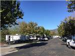 The paved road between RV sites at MOUNTAIN GATE RV PARK - thumbnail