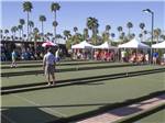 Campers playing bocce ball at TOWERPOINT RESORT - thumbnail