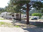 RVs parked amid fir trees at ELK MEADOW LODGE AND RV RESORT - thumbnail