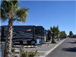 Road leading into campground at DESERT GOLD RV RESORT - thumbnail