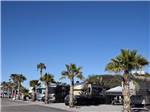 RVs and trailers at campground at DESERT GOLD RV RESORT - thumbnail