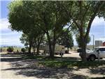 A line of trees by some RV sites at ELKO RV PARK - thumbnail
