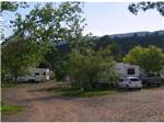 Road leading to RV sites amid shade trees at TURQUOISE TRAIL CAMPGROUND & RV PARK - thumbnail