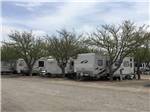 Trees between the gravel RV sites at MIDLAND RV CAMPGROUND - thumbnail