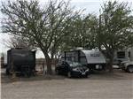 A line of travel trailers at MIDLAND RV CAMPGROUND - thumbnail