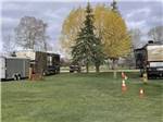 A grassy field with trees at FORT BRIDGER RV PARK - thumbnail