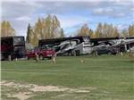 A row of motorhomes in RV sites at FORT BRIDGER RV PARK - thumbnail