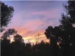 Sunset behind the trees at FORT BRIDGER RV PARK - thumbnail