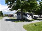 A row of gravel RV sites with a tree at MOUNT VERNON RV PARK - thumbnail