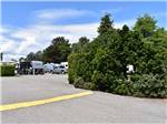 A speed bump and bushes at MOUNT VERNON RV PARK - thumbnail