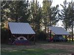 Covered tent spots among large grassy lawn area at LOST ALASKAN RV PARK - thumbnail