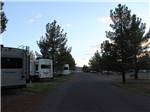 A long gravel road lined with trees at LOST ALASKAN RV PARK - thumbnail