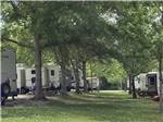Looking down a row of trees and RV sites at COUNTRY SIDE RV PARK - thumbnail