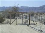 The fenced in pet area at LEAPIN LIZARD RV RANCH - thumbnail