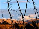 Branches with mountains at STAGECOACH TRAILS RV PARK - thumbnail