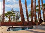 Jacuzzi surrounded by palm trees at GOLD CANYON RV & GOLF RESORT - thumbnail