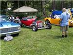 Man admiring brightly colored vintage muscle cars at car show at COZY ACRES CAMPGROUND/RV PARK - thumbnail