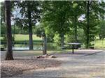 A picnic table in an RV site next to the water at COZY ACRES CAMPGROUND/RV PARK - thumbnail