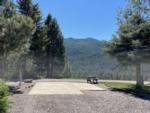 An open RV site with a beautiful view at THE NUGGET RV RESORT - thumbnail