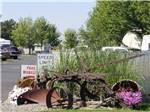 Antique plow at the park entrance at PILOT RV PARK - thumbnail