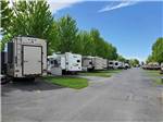 A row of travel trailers under green foliage at PILOT RV PARK - thumbnail