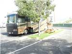 A motorhome parked under a tree with a picnic table at GOLD DUST WEST CASINO & RV PARK - thumbnail