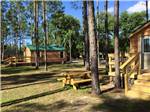 Cabins with decks at RAGANS FAMILY CAMPGROUND - thumbnail