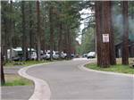 RV sites surrounded by large trees at EAGLE LAKE RV PARK - thumbnail