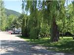 A gravel road leading to the RV sites at PAIR-A-DICE RV PARK - thumbnail