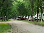 Road running through campground with trees at MILLER'S CAMPING RESORT - thumbnail