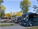 A row of motorhomes in gravel sites at LAKE PINES RV PARK & CAMPGROUND - thumbnail